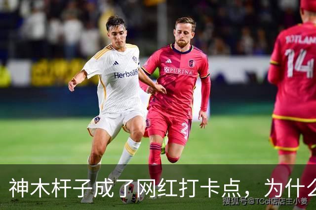 神木杆子成了网红打卡点，为什么要围起来？